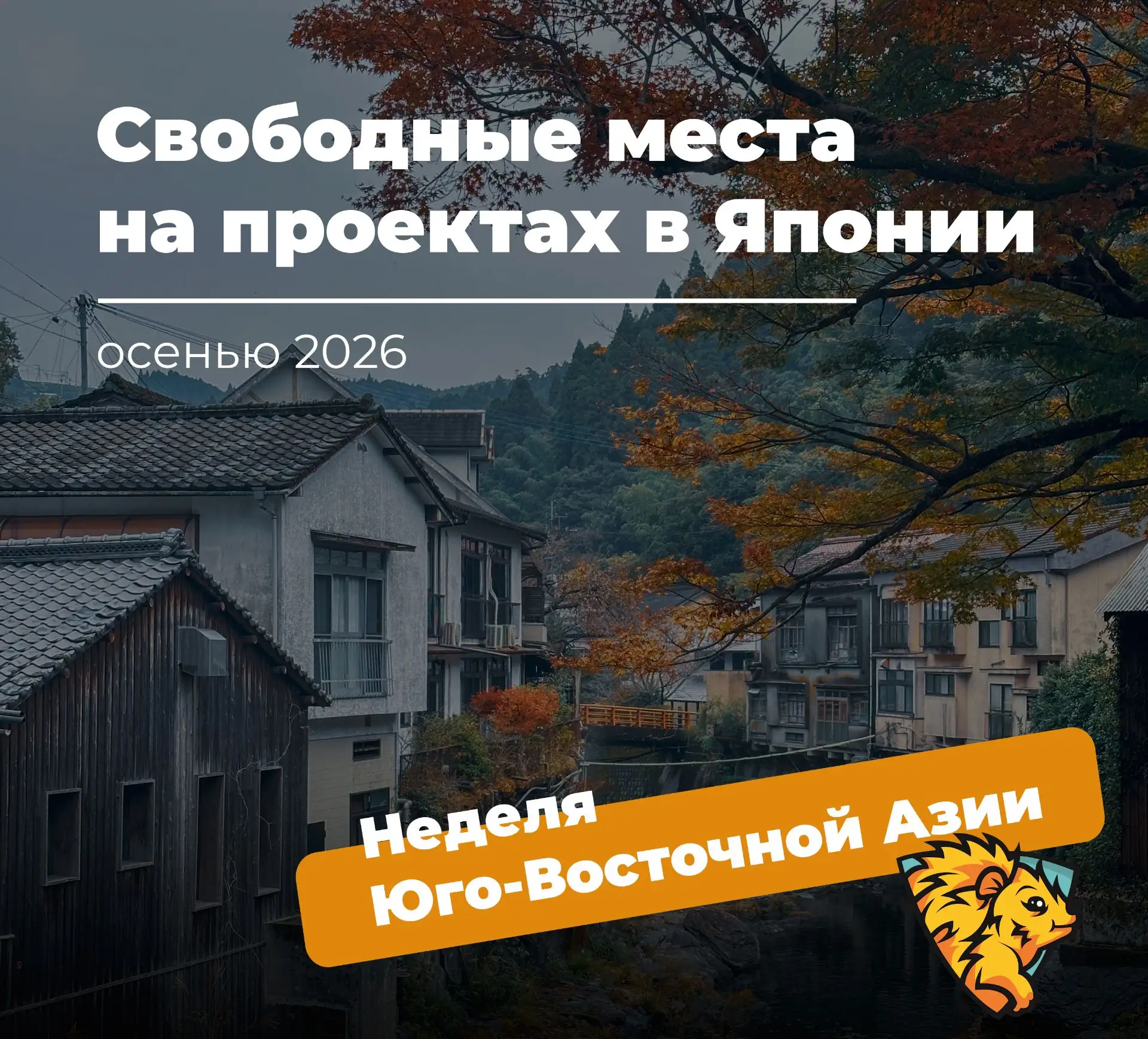 А этим постом мы открываем неделю Юго-Восточной Азии в Гудсёрфинге! Крутая подборка от ...