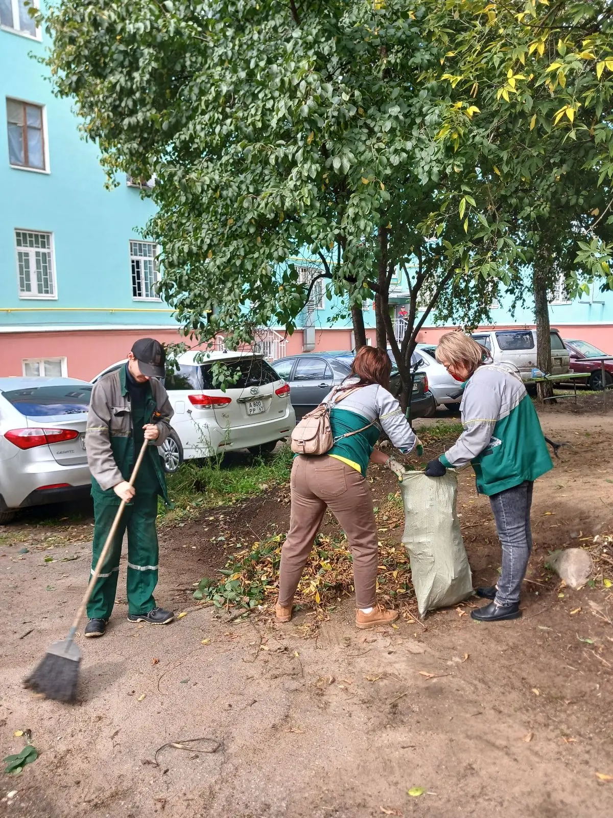 🌿 Обрезка поросли и уборка территории