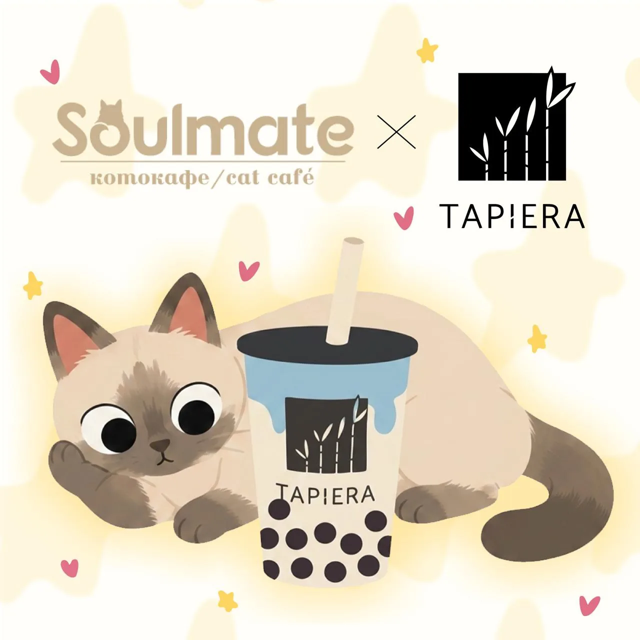Tapiera х Soulmate