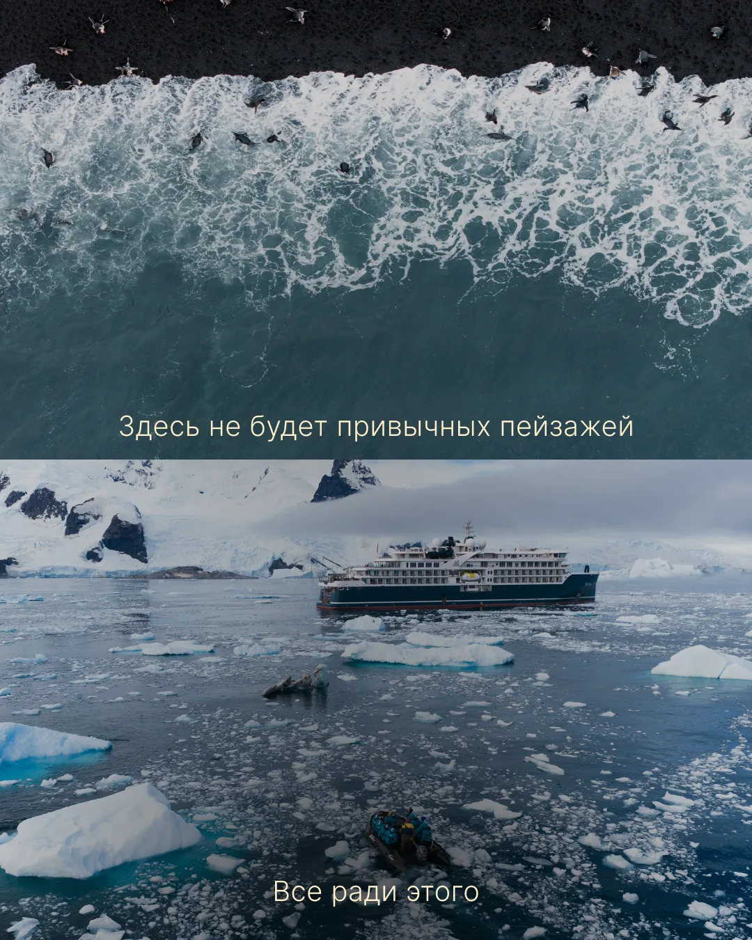 Ради чего стоит отправиться в экспедиционный круиз?