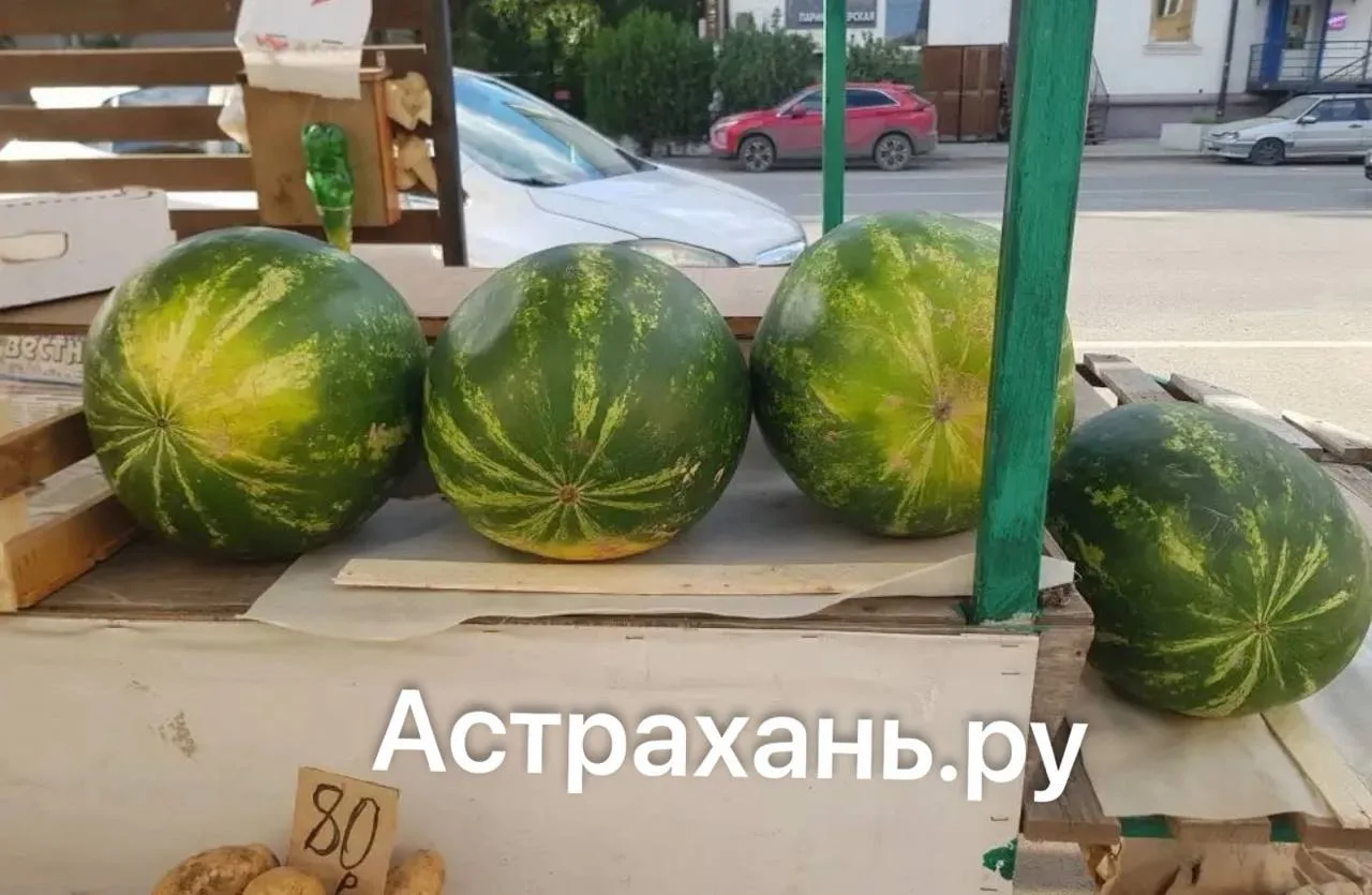 В Астрахани появились первые арбузы: откуда везут ягоду и как не отравиться?

На прилавки астраханск