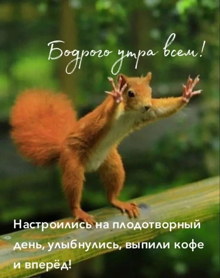 💐ЖИВАЯ СКАЗКА 💐