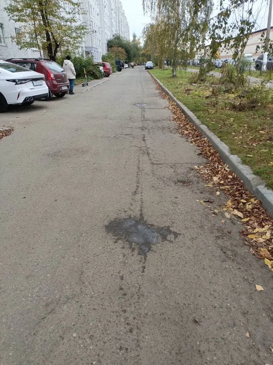 По всему городу во дворах мокрые следы мусорной реформы🤢