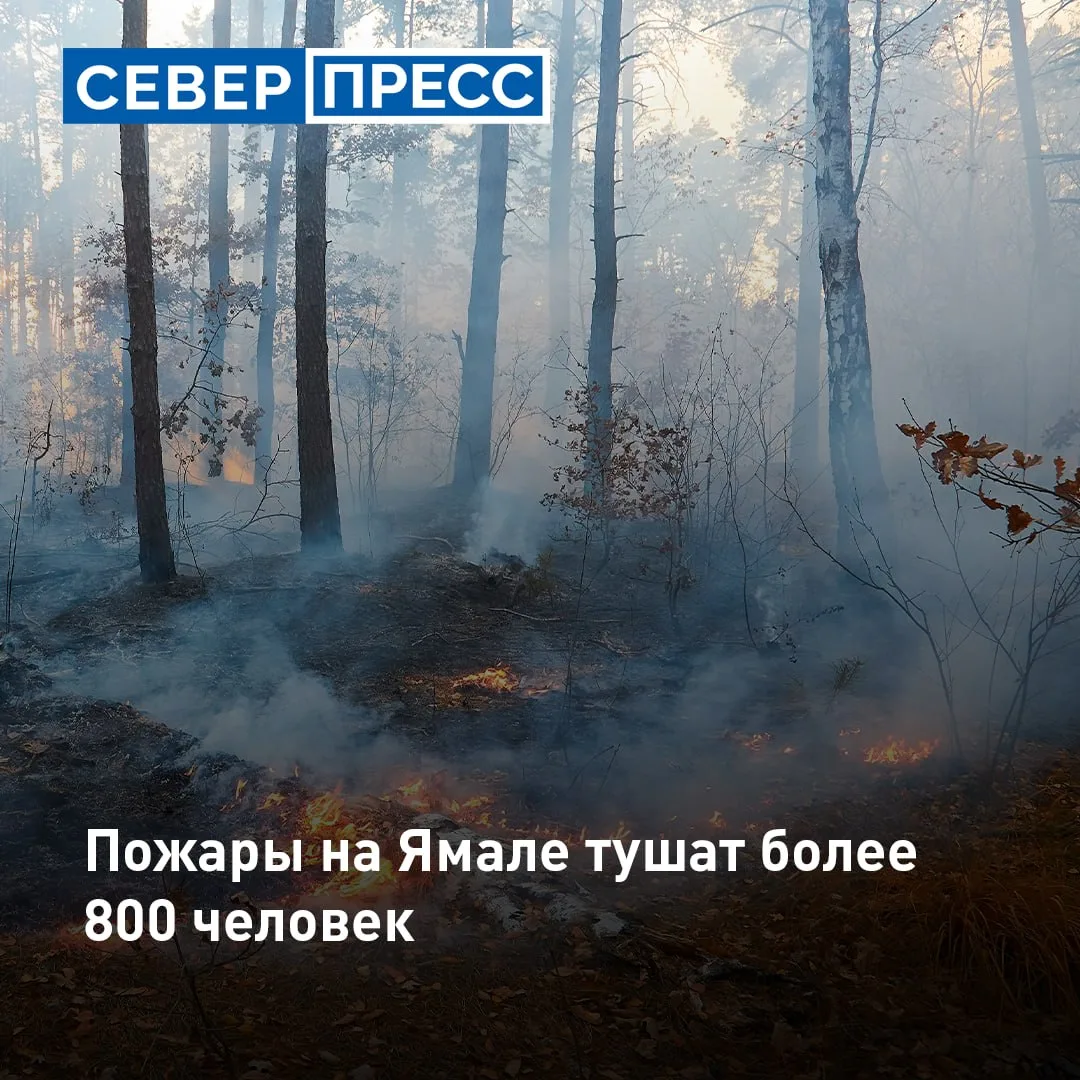 Количество пожаров растет: 195 очагов зафиксированы на Ямале. Стихия бушует в Красноселькупском, Над