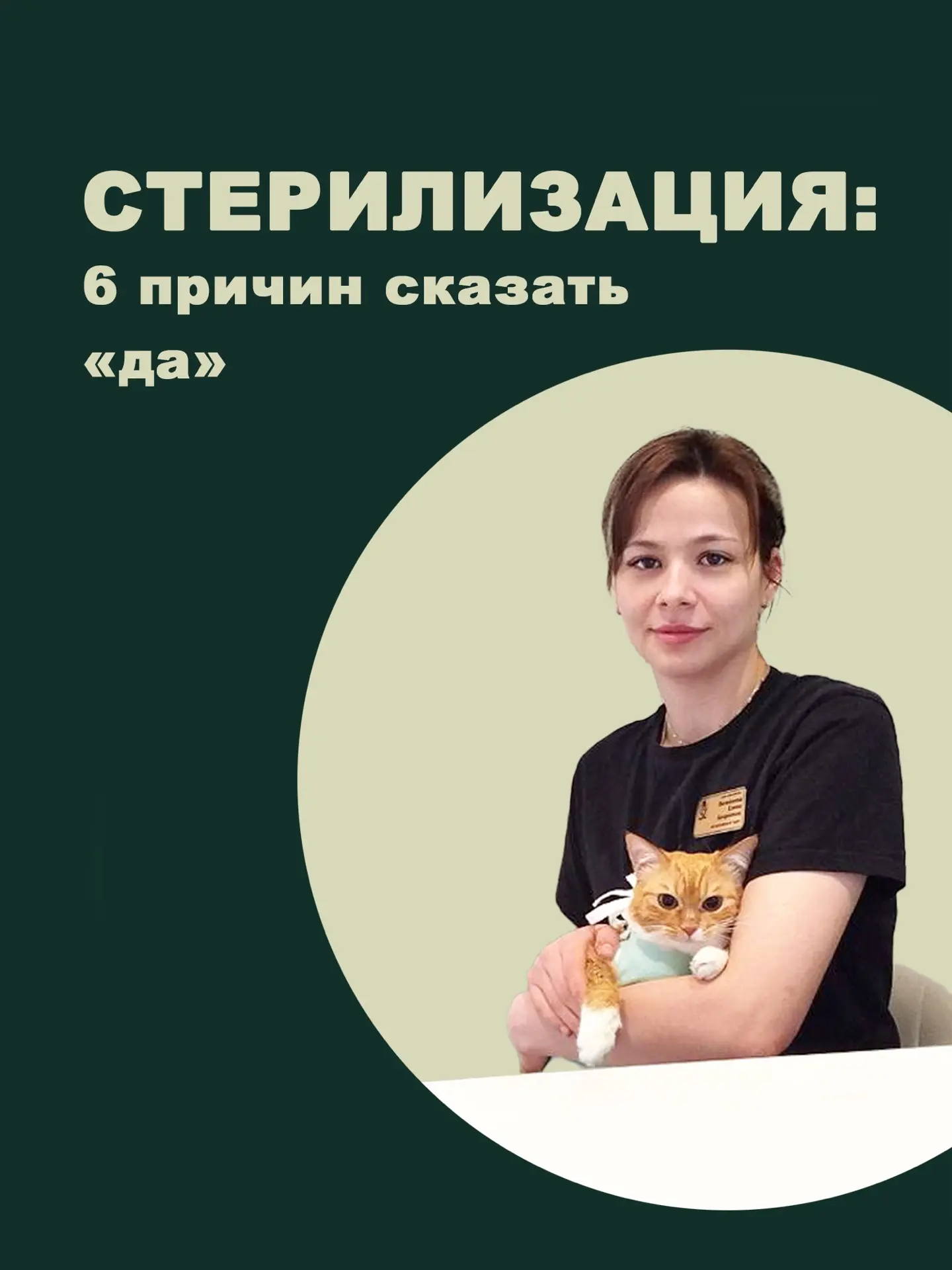 Стерилизация: забота, а не жестокость ☝🏻