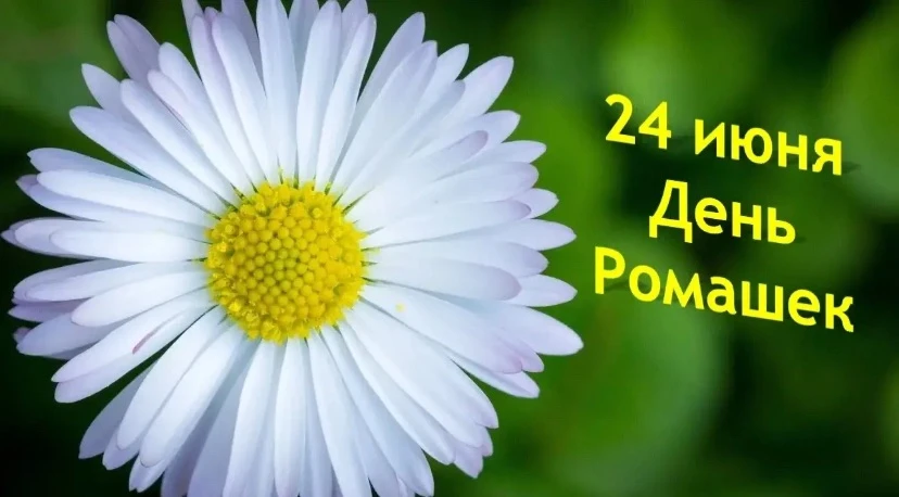 🌼Сегодня воспитанники нашего детского сада отмечали необыкновенный праздник -«День рождения Ромашки