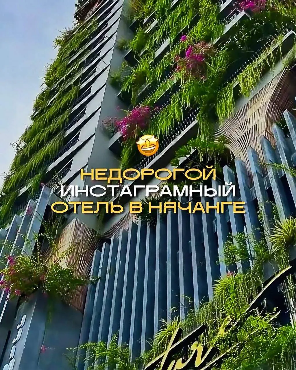 В Нячанге есть отель, который