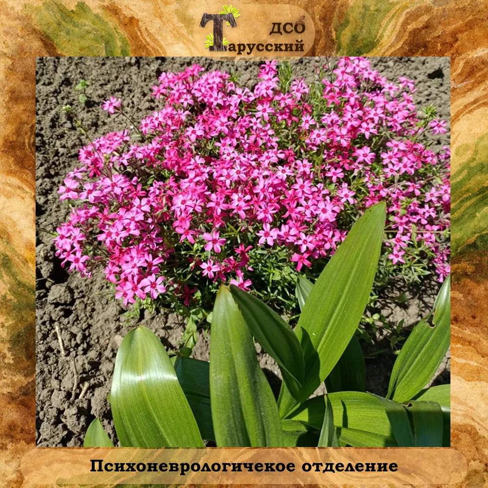 Прогулка