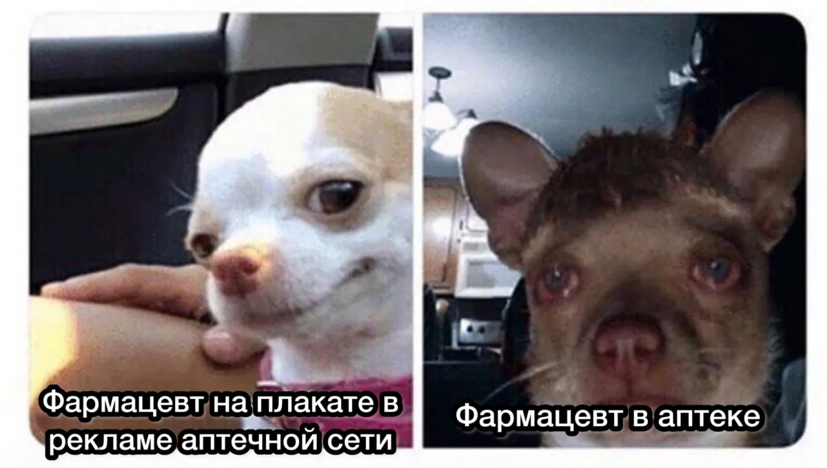 Цитрамон. Подписаться