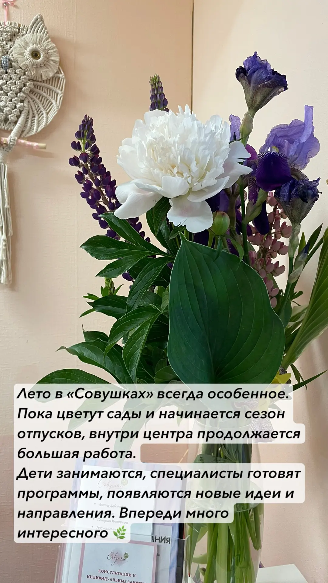 Летом в центре становится немного тише.

Нет школьной спешки, домашних заданий и постоянной гонки за