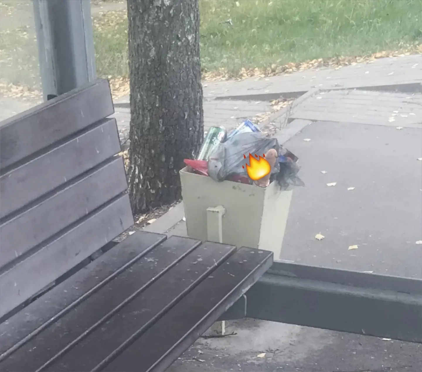 В одном из парков город кто-то из дам выкинул один большой агрегат.