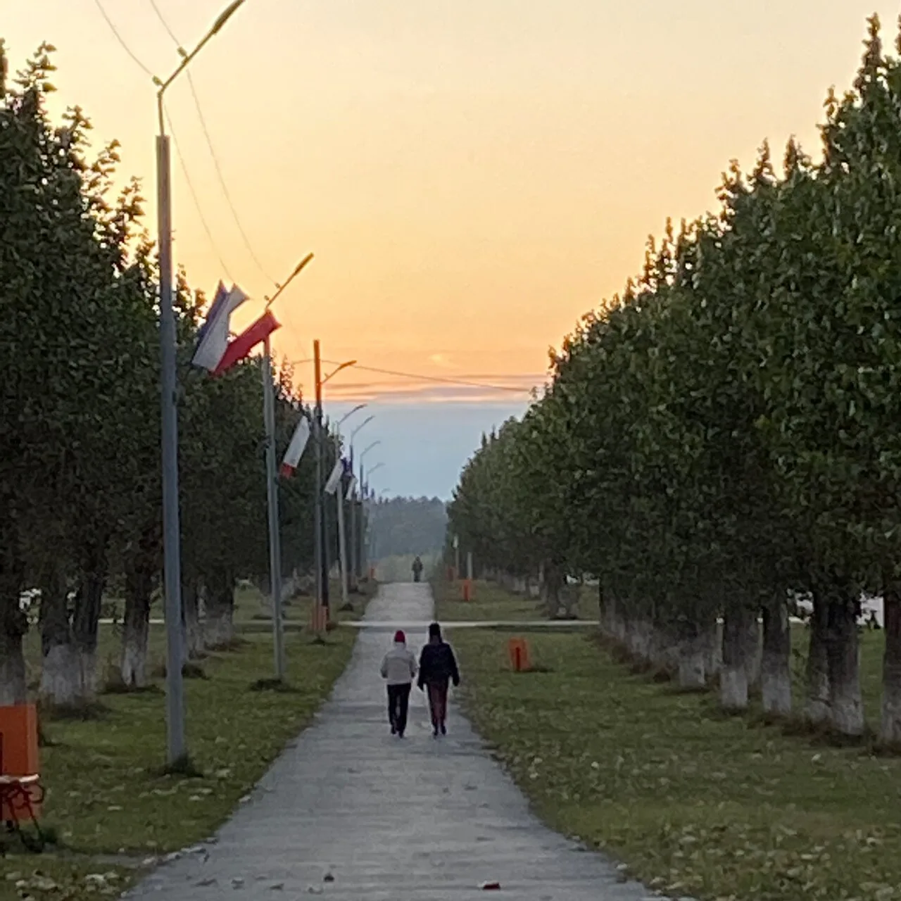 Добрых снов, любимый город! Спокойной ночи, !