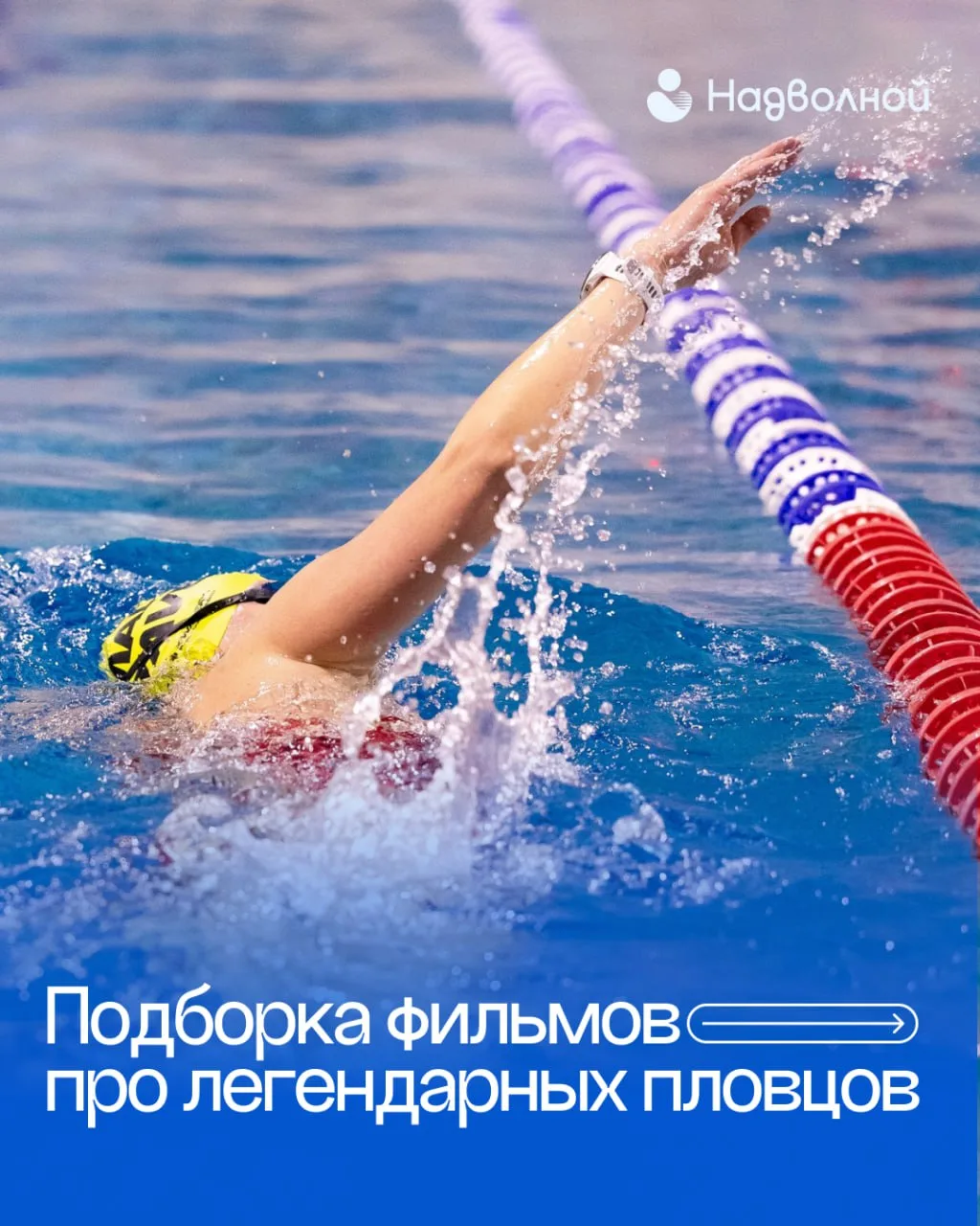 Для взрослого плавание это не только секунды на табло, но и ментальная устойчивость 😌