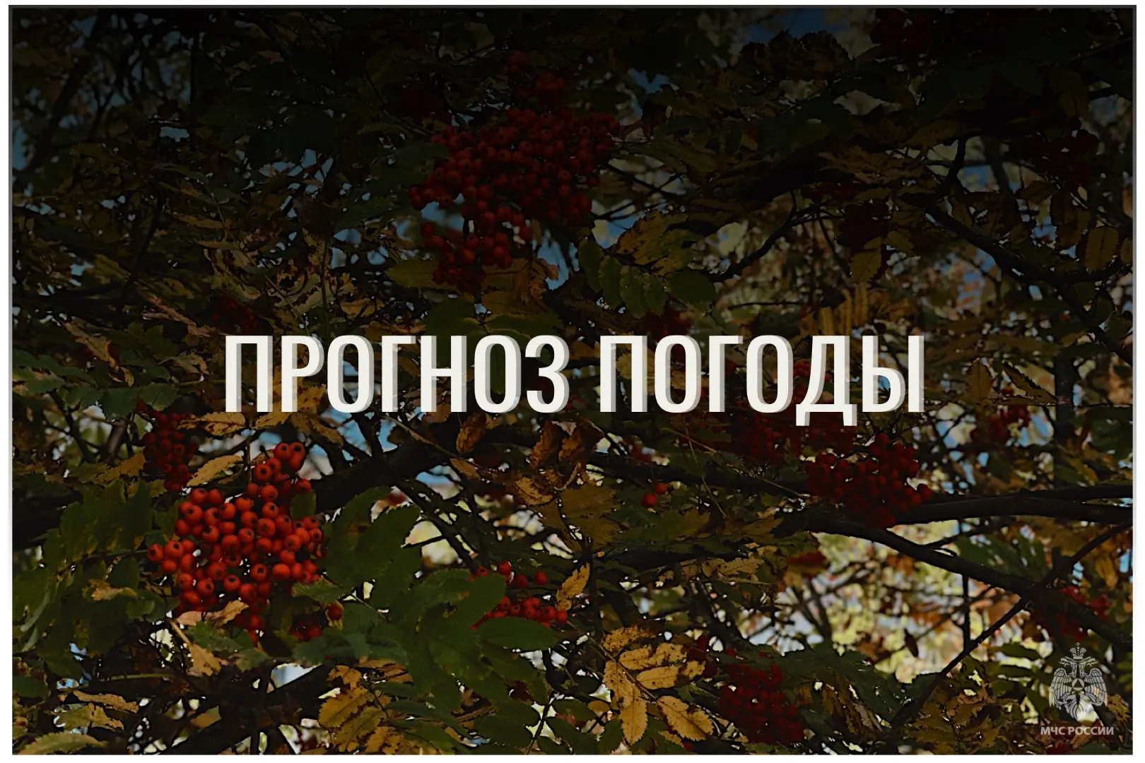⛅По данным ЦГМС, 1 октября в регионе прогнозируется переменная облачность.