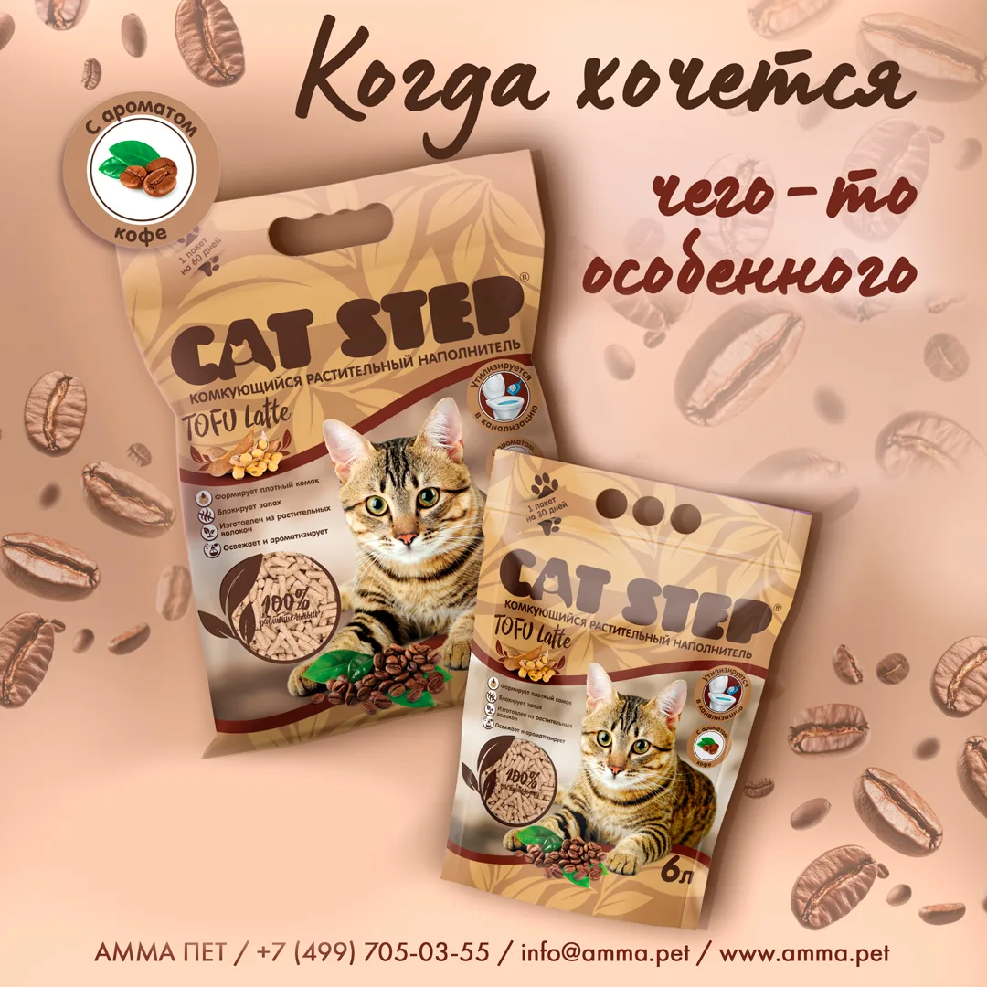 🔥 Встречайте! Сразу 2 топовые новинки в линейке CAT STEP Тофу!