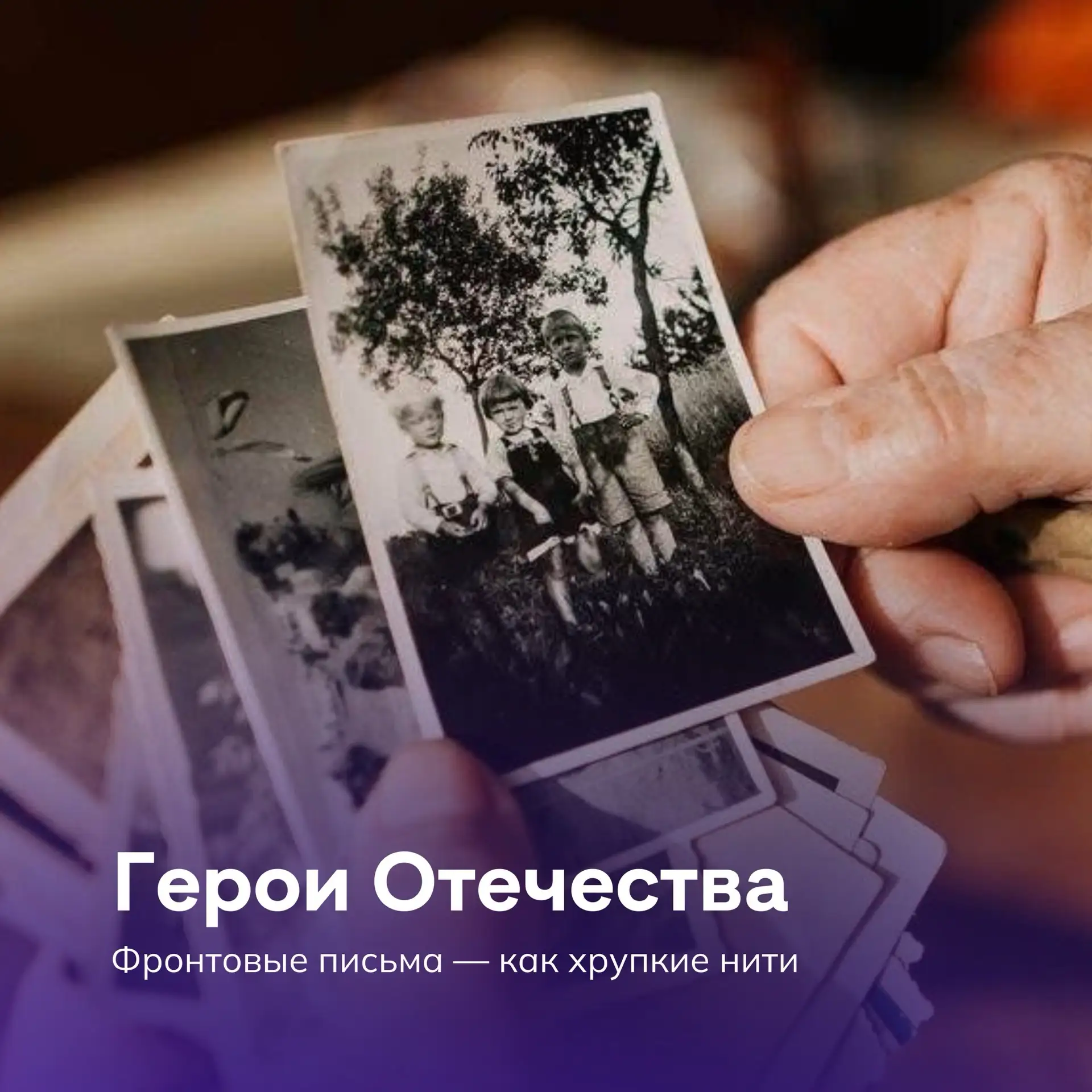Голос из прошлого: почему фронтовые письма трогают до слёз? ✉️🕊️

22 июня, в День памяти и скорби, 