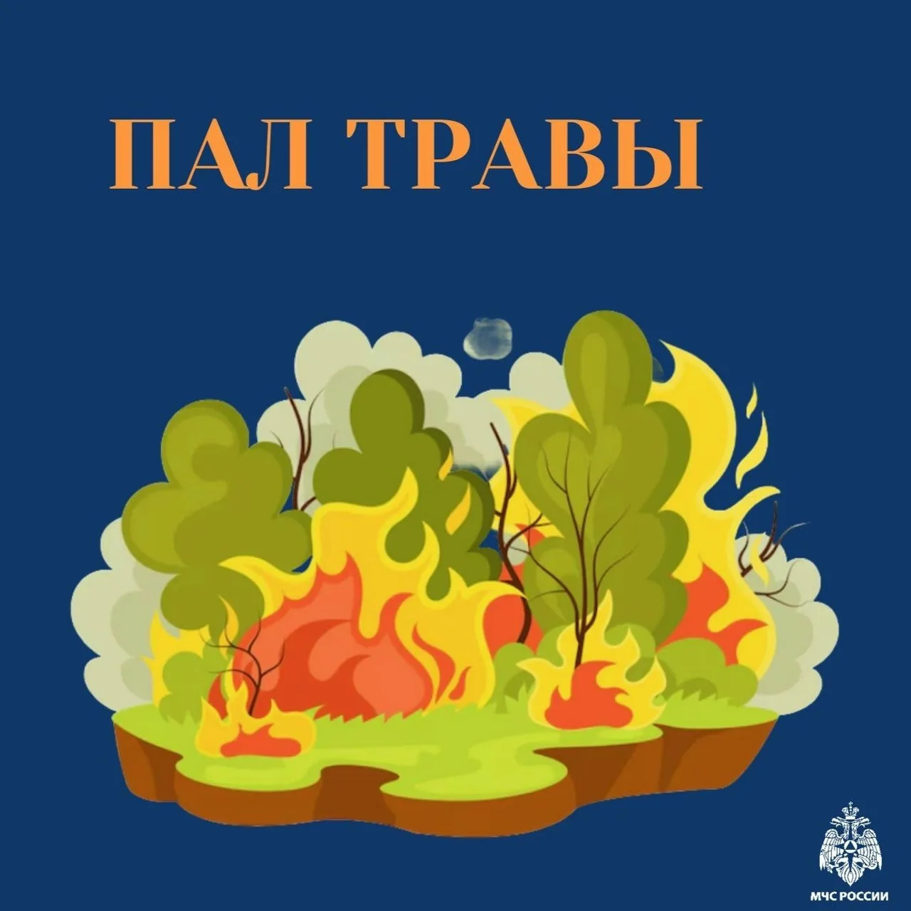 Пал травы: нормальная практика или фатальная ошибка?
О том, что делать с сухой травой, какие бывают 