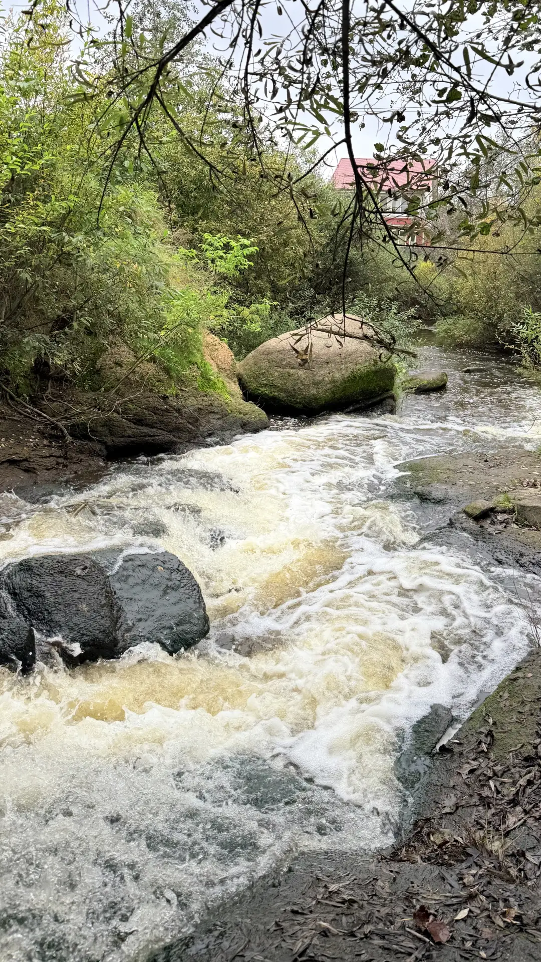 Сегодня мы с Полюшей побывали в волшебном месте 😍 оставлю, пожалуй, здесь ♥️