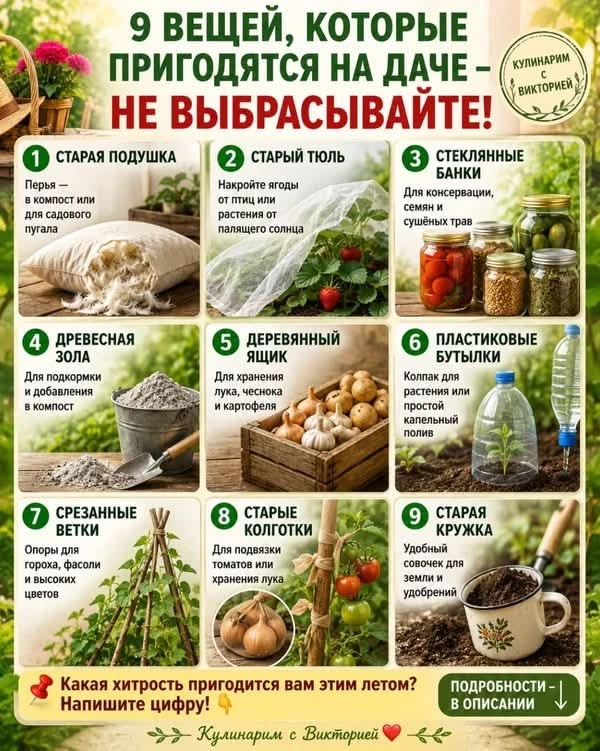 Дача | Подпишись 👇🏻