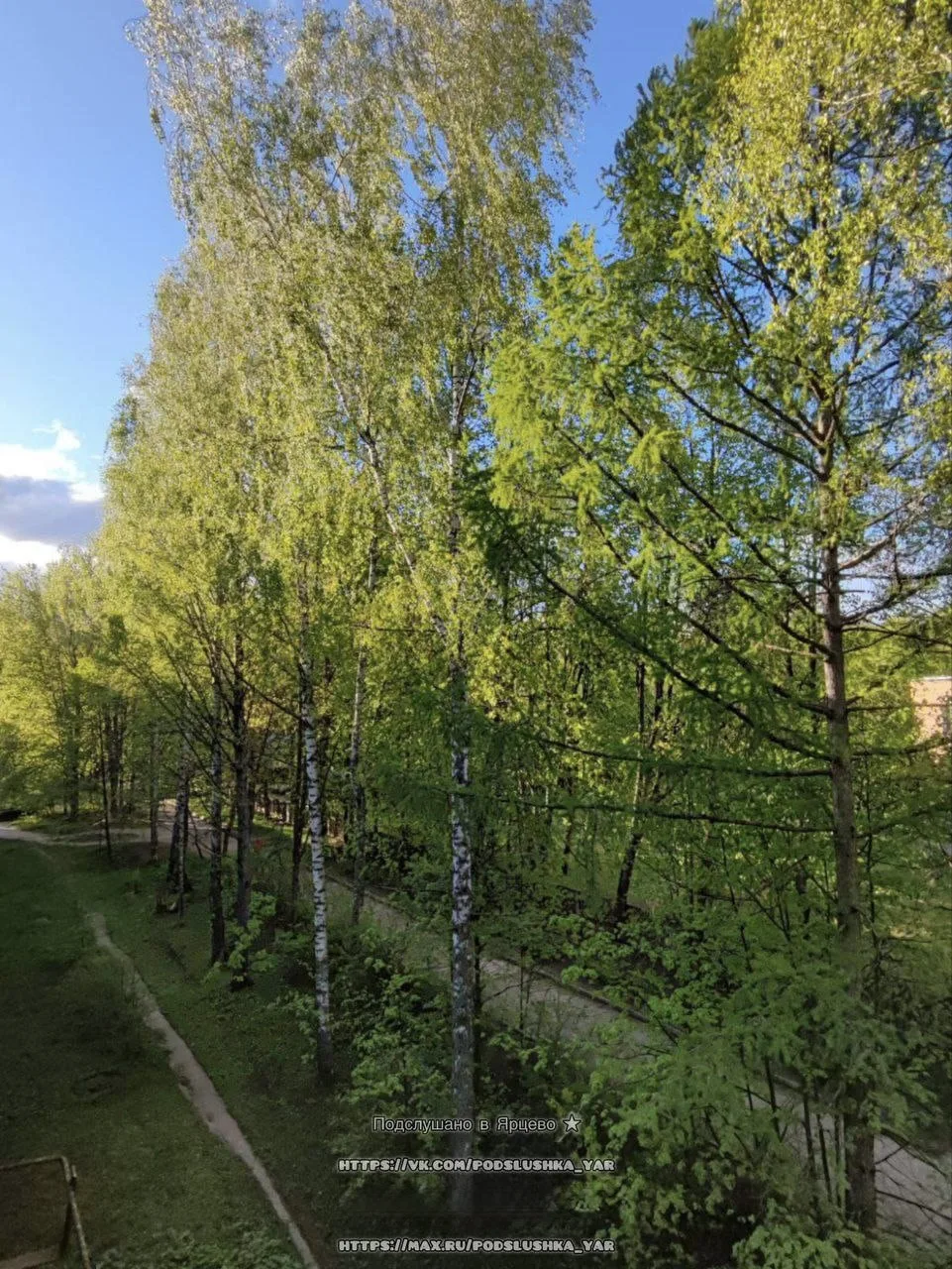 Доброе утро, Ярцевчане! ☀️

Сегодня, 15 июня, в Ярцево ожидается:
🌥️ Погода: облачно с прояснениями