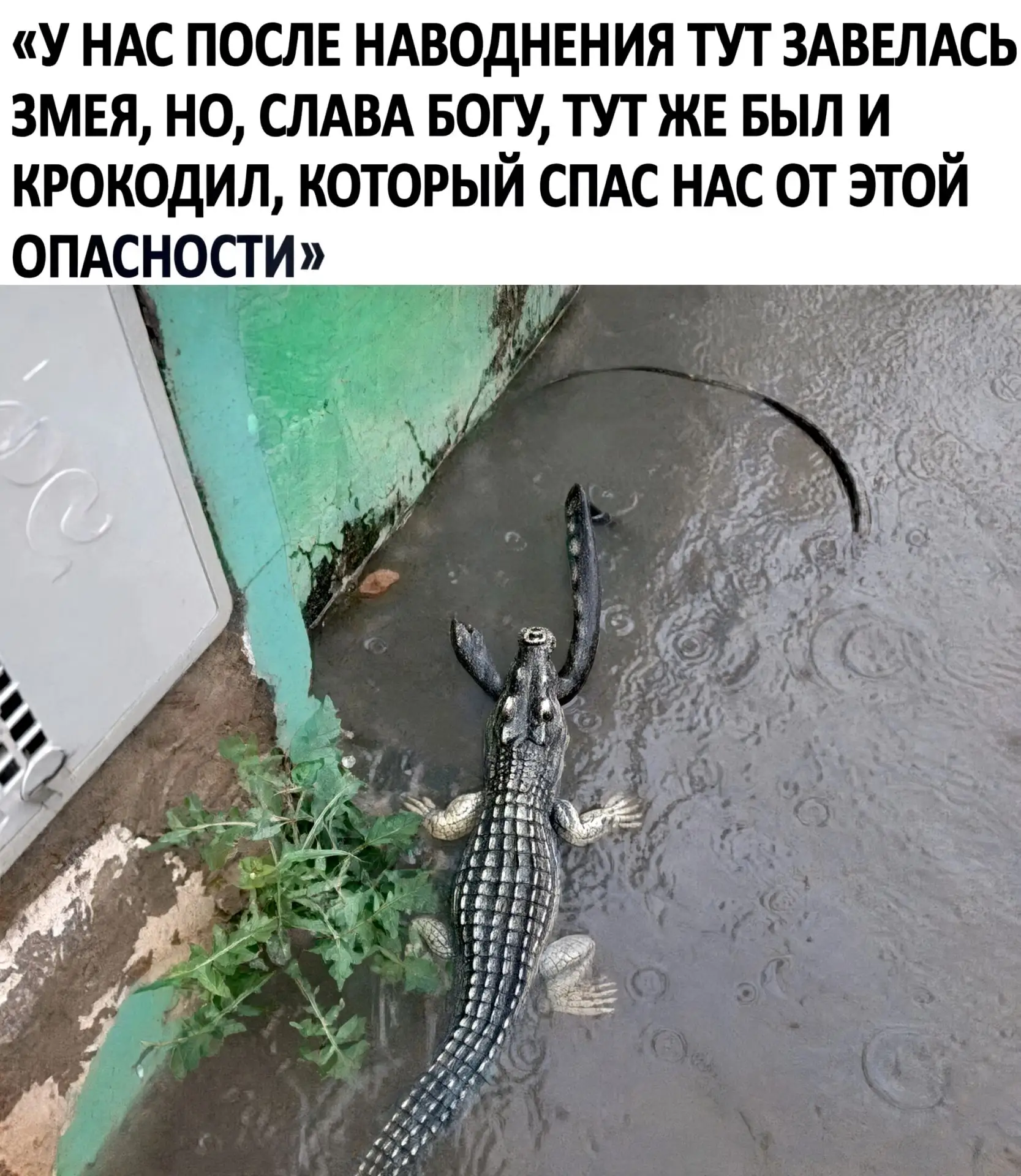 Подпишись на юмор 😂