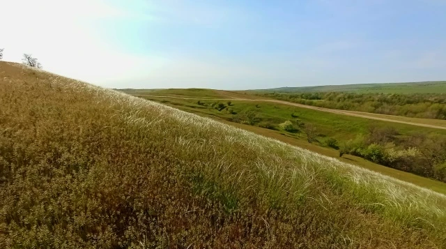 Сколь не удивительна живая природа, как не приятны глазам красивые наши пейзажи из скал, неба, а в д