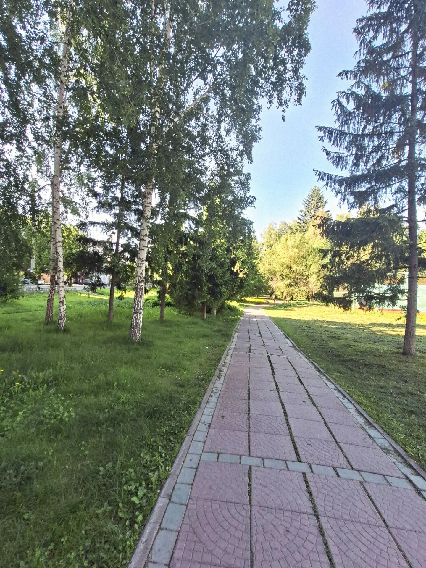 🌤️ Доброе утро, друзья!
Сегодня нас ждёт контрастный выходной денёк: утро стартует с комфортных +19