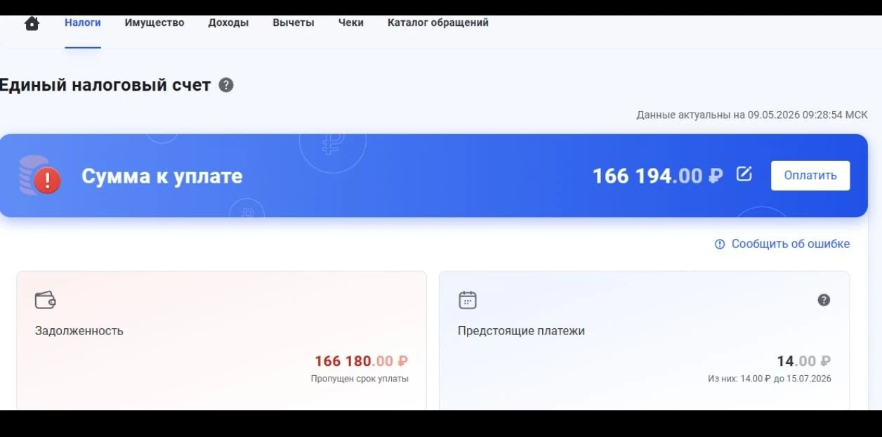 Заполнить самому 3-НДФЛ и остаться должным налоговой.