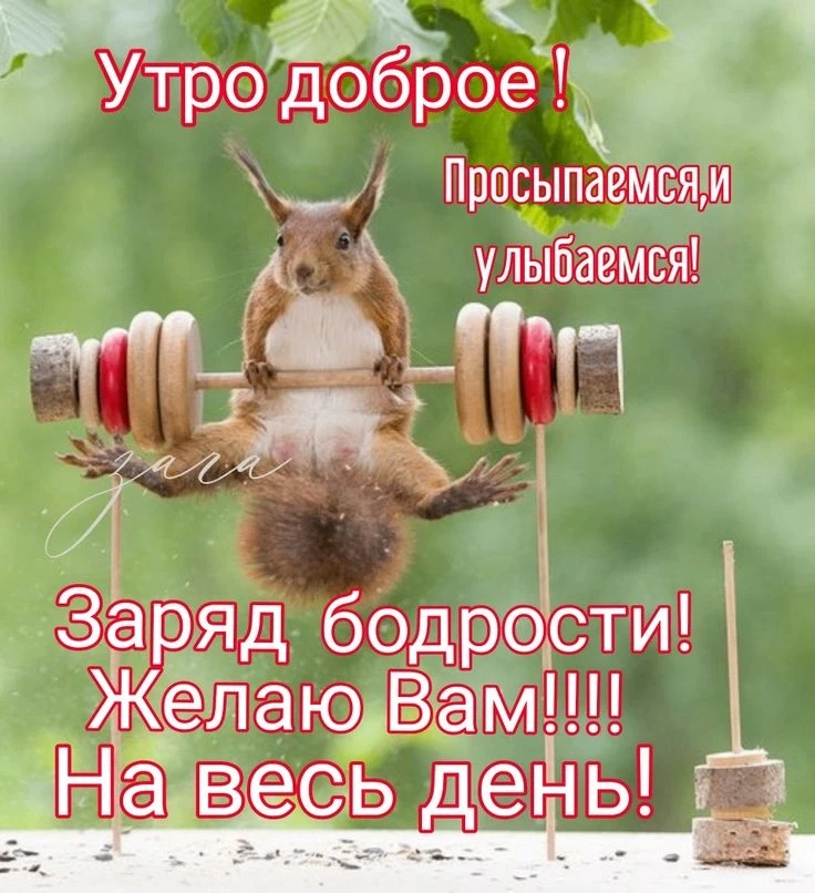 С добрым прекрасным июньским утром, дорогие друзья!