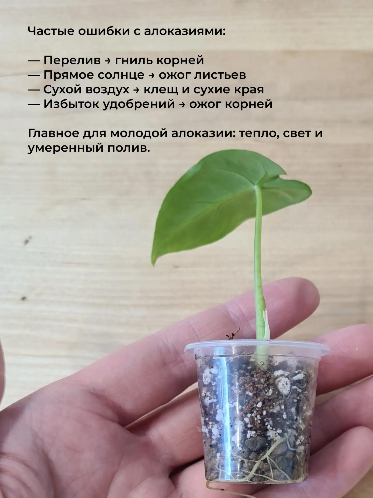 Привет!
