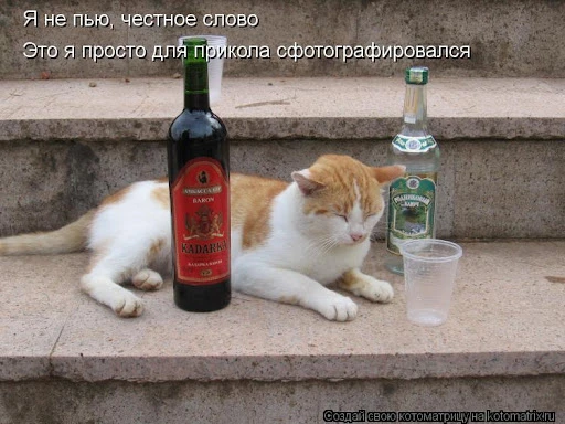 Доктор, я не пью...

П: «Дмитрий Сергеевич, ну что вы, какой алкоголь? Раз в полгода бокал красного 