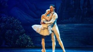 🎭 Лебединое озеро