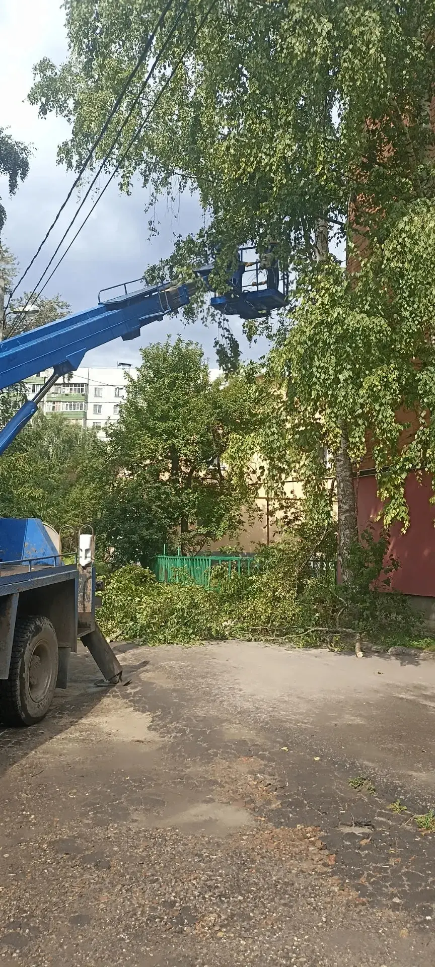 Спили сухие ветки на деревьях. Поросль и старые стволы удалены, территория приведена в ...