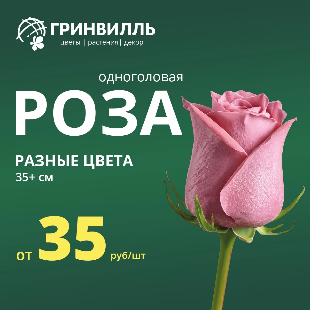 🍂 АКЦИИ ОКТЯБРЯ В ГРИНВИЛЛЬ