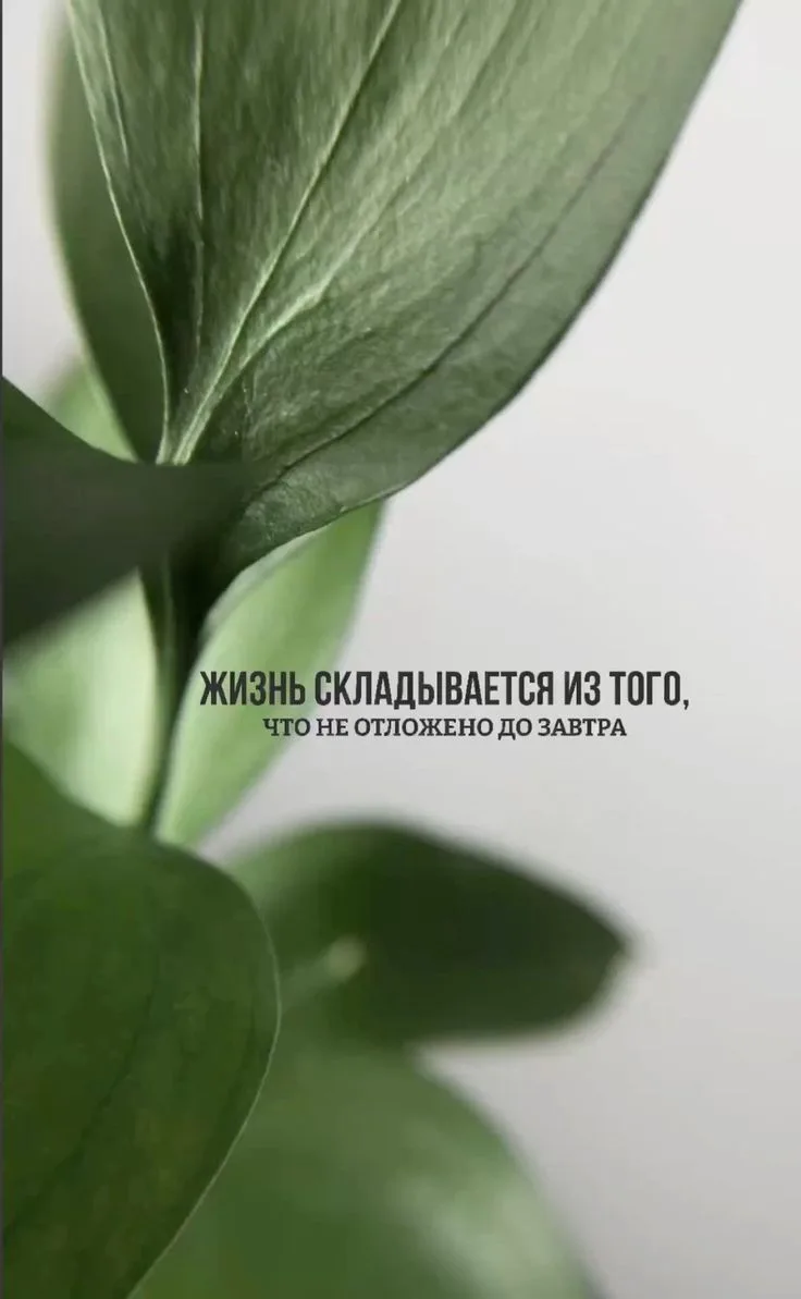 Делай🌿.