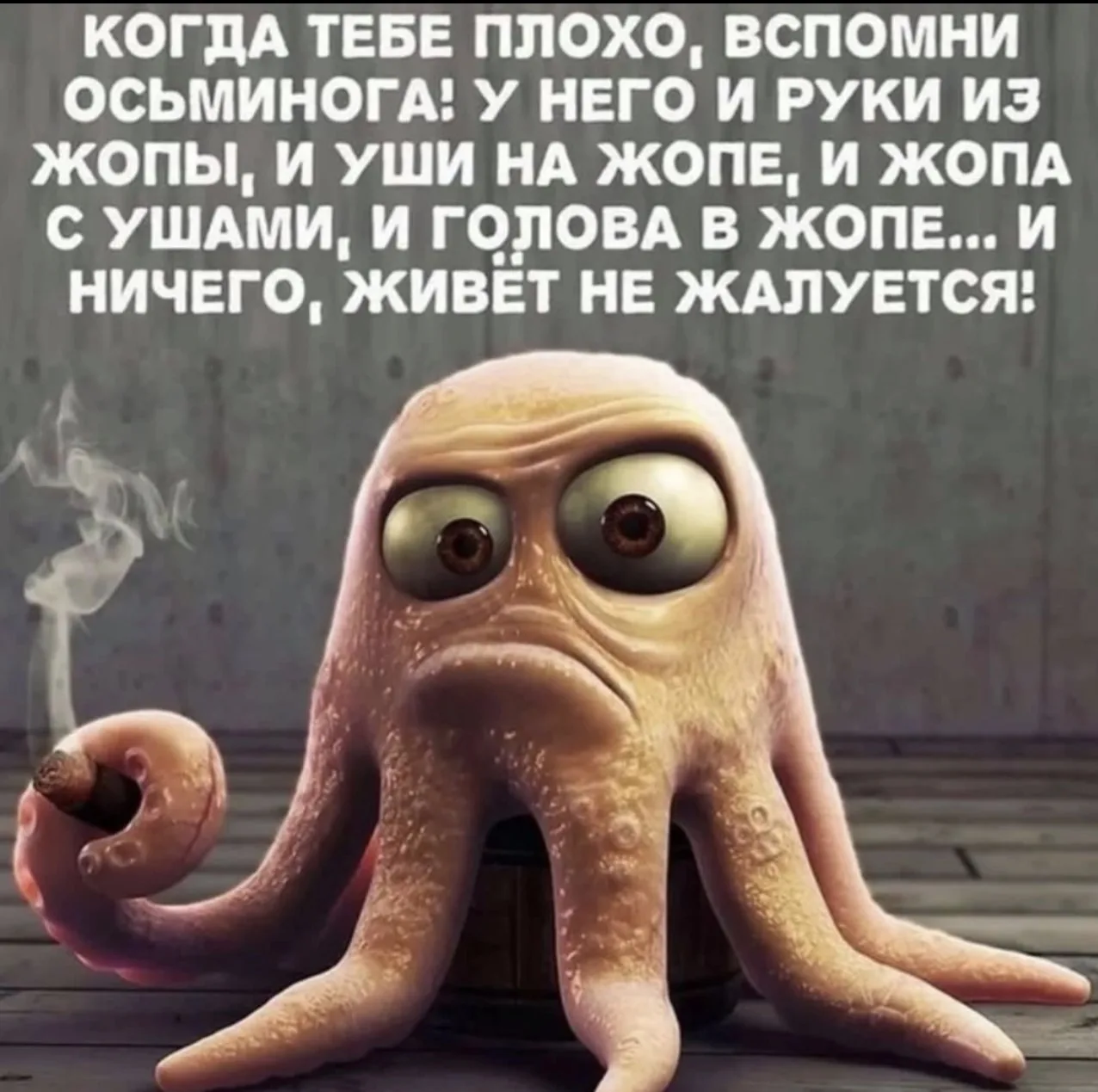 Настроение дня: не жаловаться. Иначе жопа
