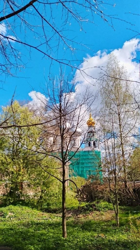 🌙  Доброй ночи, Вологда!  Если и у вас есть что рассказать или показать городу, пишите — в тг Vologd