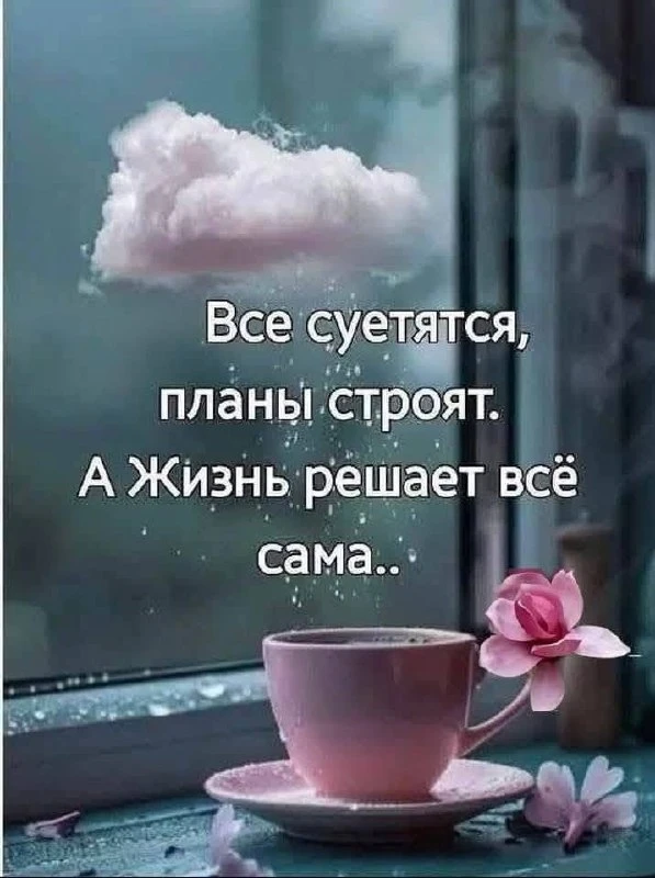 🌷 Открытки подписаться 👈