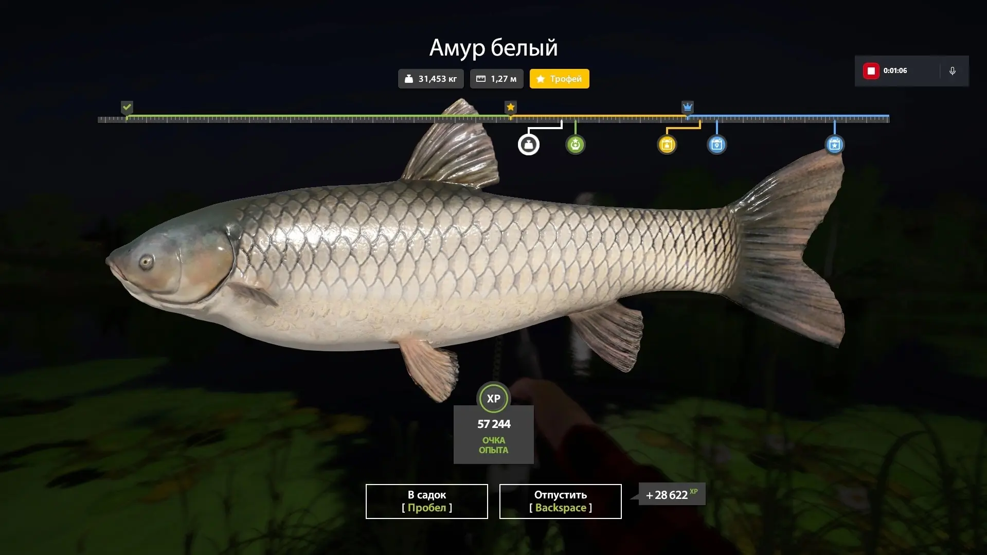 #острог@pp4wikipedia 
🐟 Амур белый (трофей х2)
📌 Координаты 21:67
🎣 Клипса 15 
👤 RUSL_705 
💬 Вс