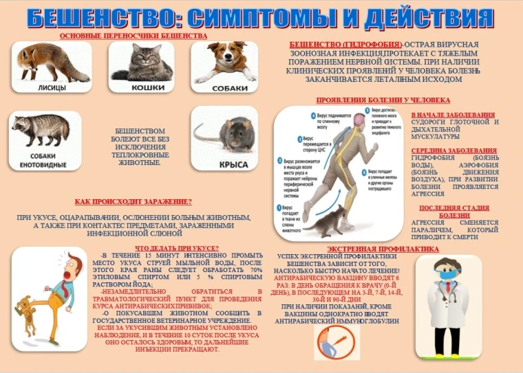 💭О выявлении вируса бешенства🐺                    🐺В связи с выявлением вируса бешен...
