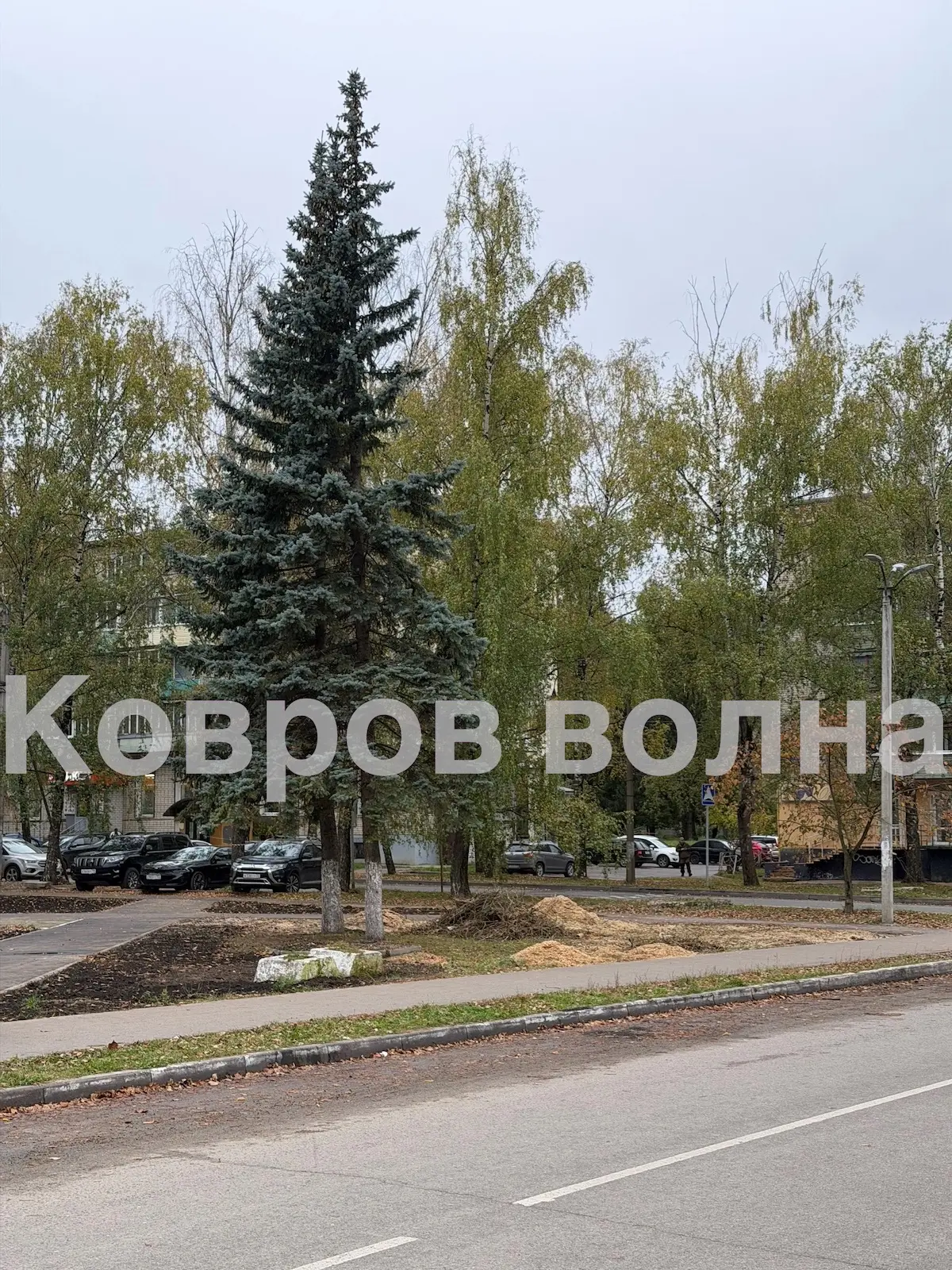 В сквере Лопатина спилили деревья полностью‼️‼️🧐