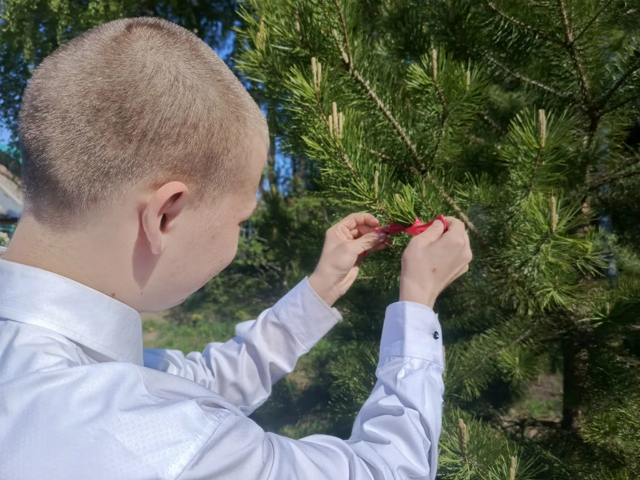 ✨ Неделя выпускника. Цвет: ❤