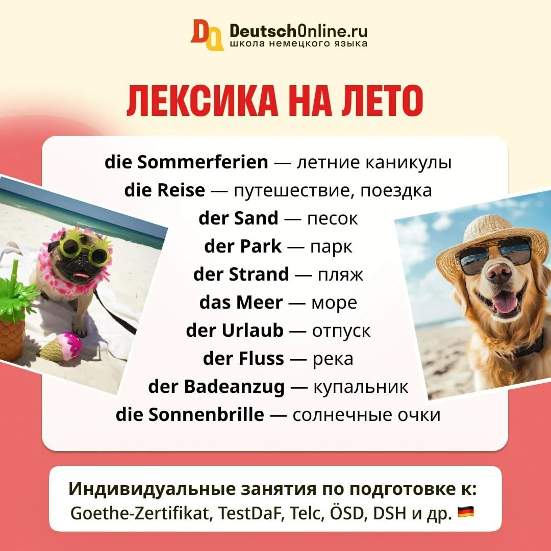 Ещё немного о лете ☀️ 

Наступило лето, а значит настало время die Sommerferien — летних каникул и d