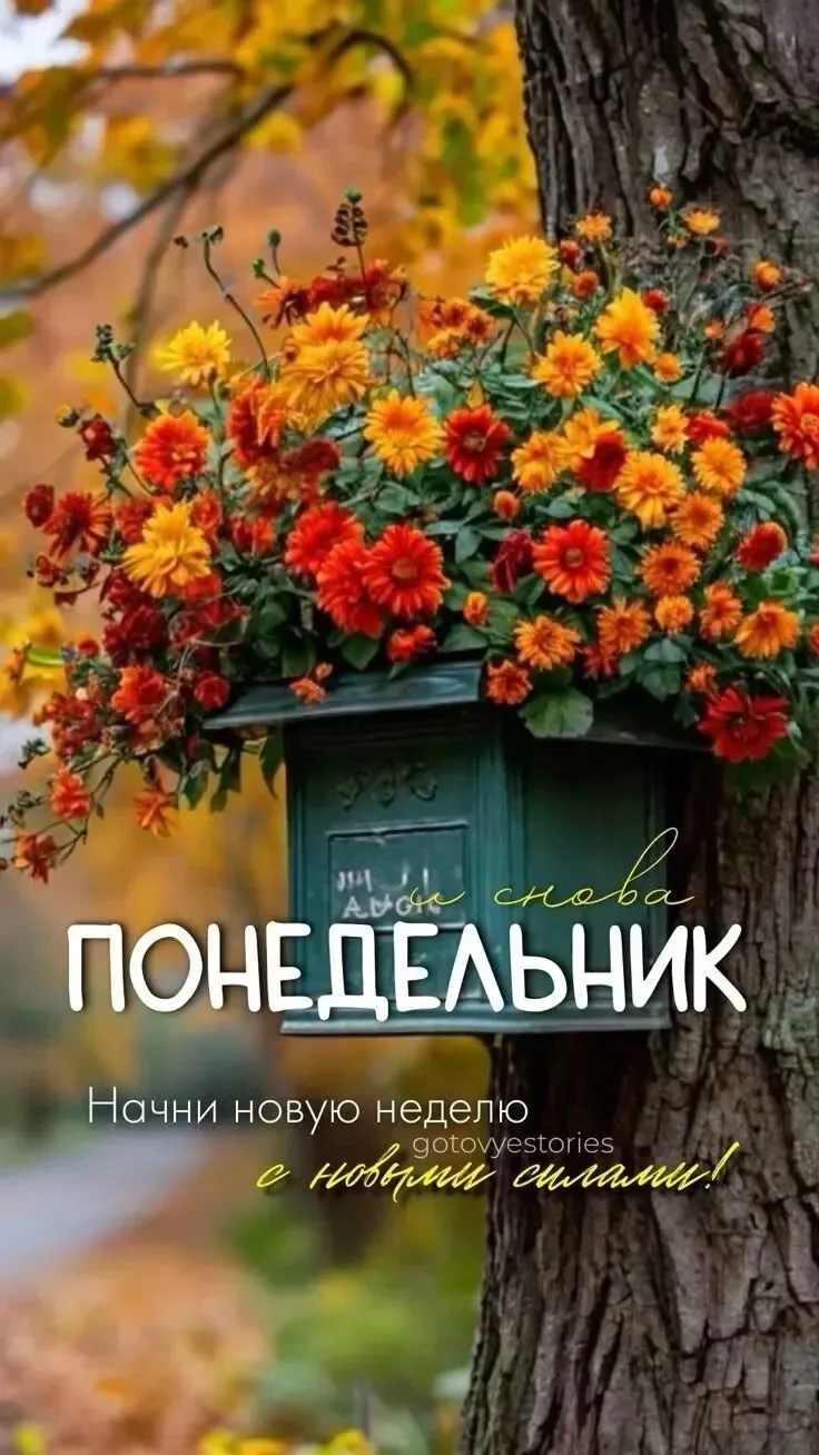 Доброе утро 🌺🌺🌺хорошего дня 🌝🌺💐🫠