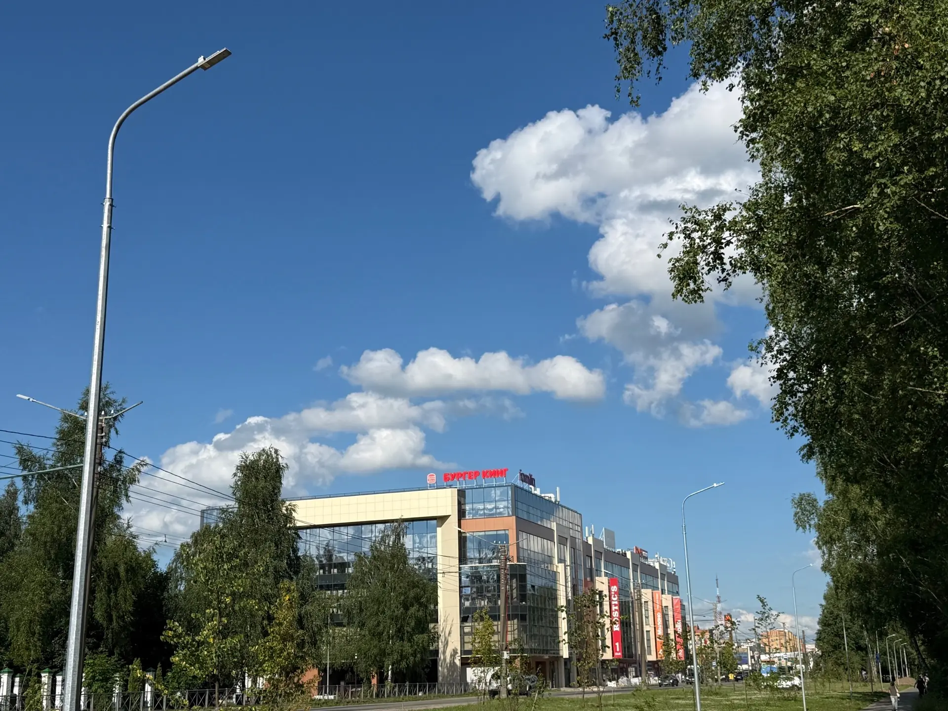 Лето — самый активный сезон для городских служб. Запросы жителей о благоустройстве становятся осново