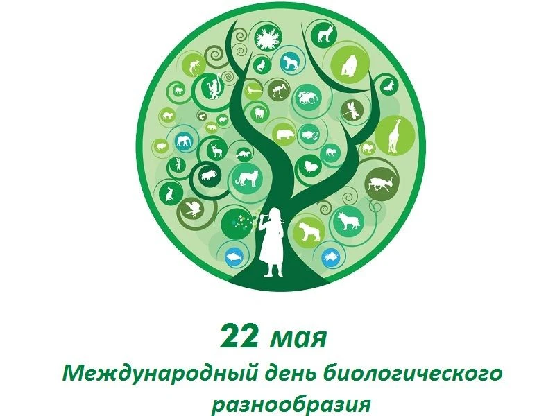 Сегодня, 22 мая — Международный день биологического разнообразия🌏!