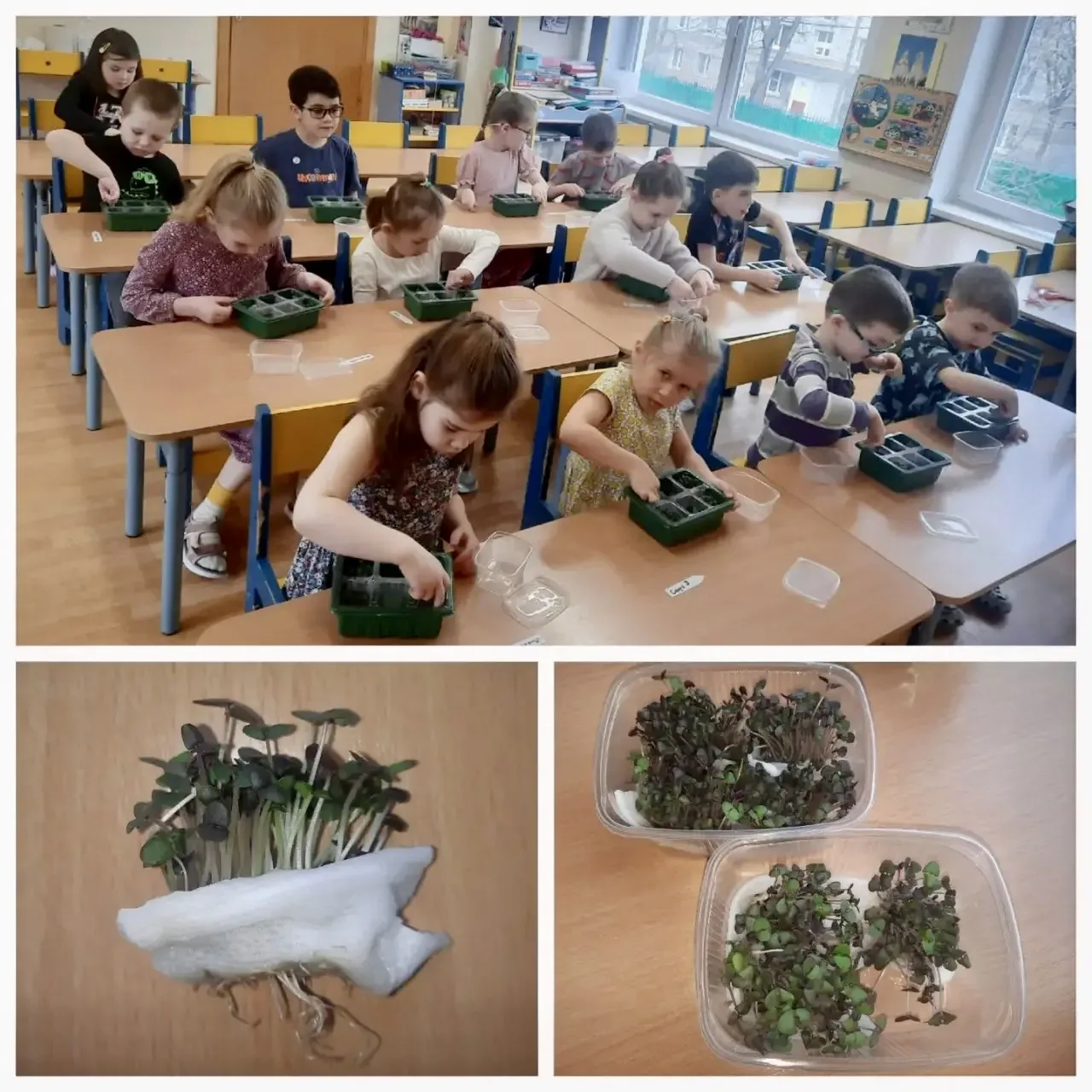🌱 Внимание: эксперимент!   🔍В «Лаборатории зелёной жизни» провели опыт с неожиданным вопросом: а мож