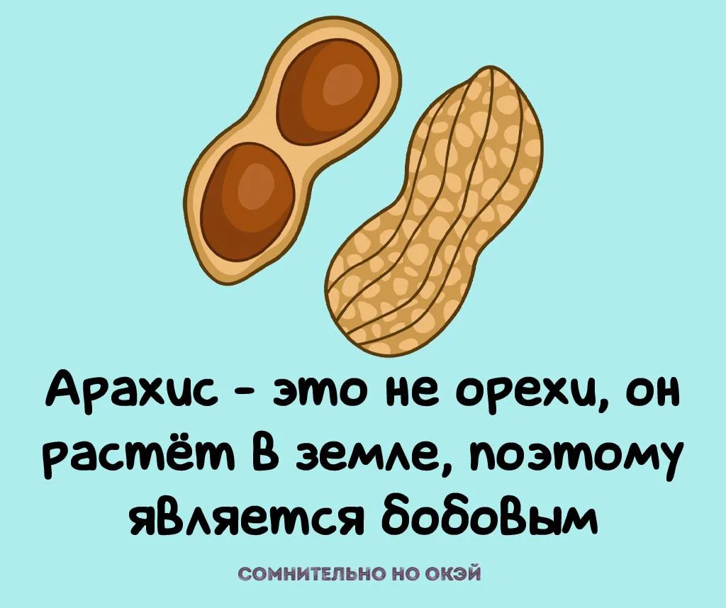 Признавайтесь, знали?