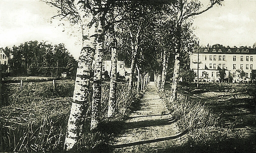 Кранц, Биркен Аллее.