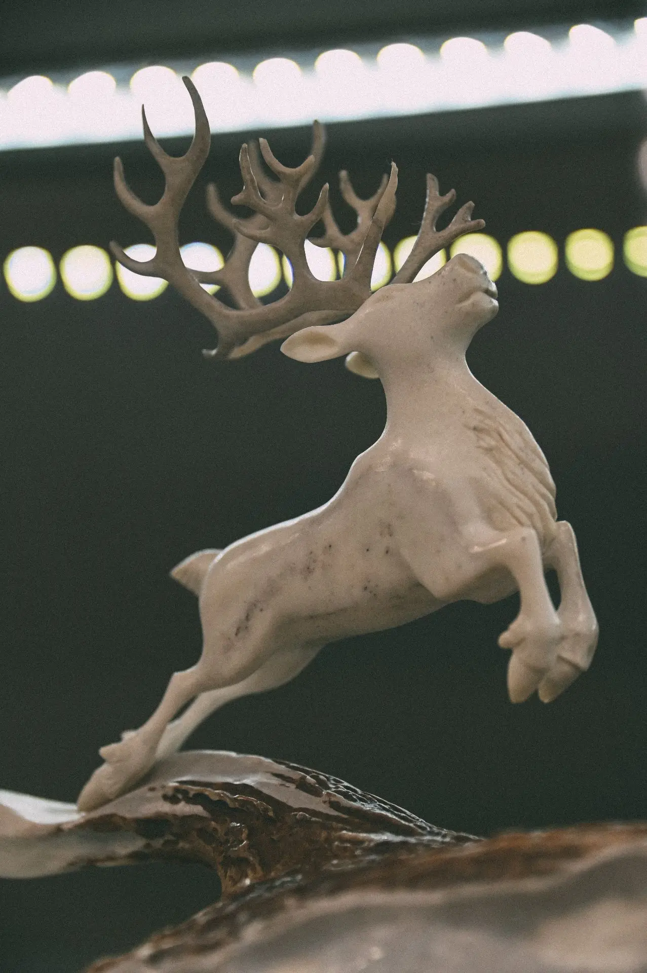 🦌 Продолжается выставка «Олень — хранитель тундры»